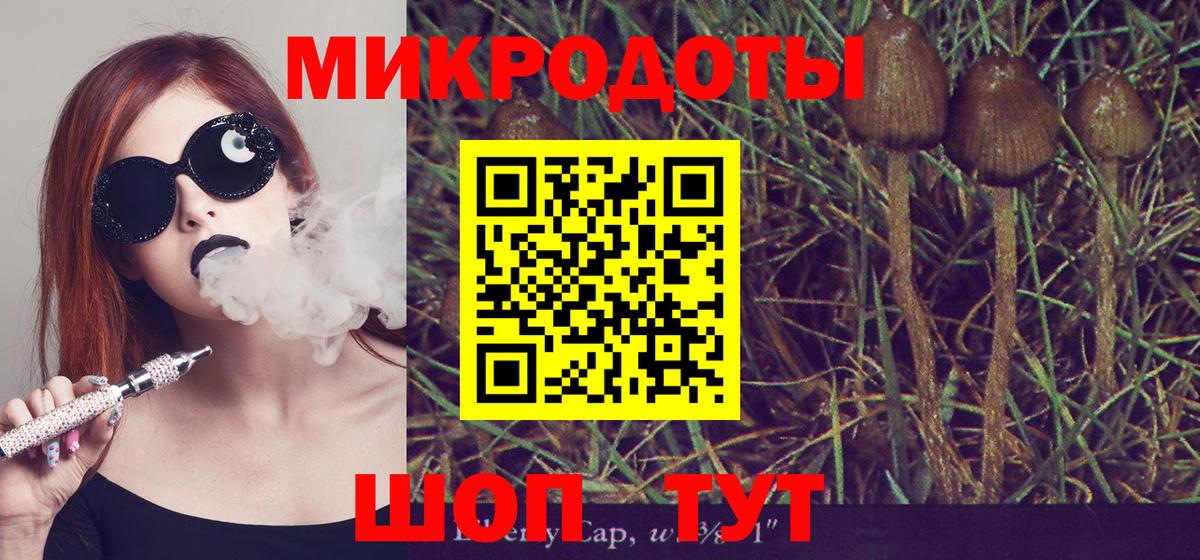 Орехово-Зуево  продажа наркотиков  Вход с VPN  Псилоцибиновые грибы MAGIC MUSHROOMS  Псилоцибиновые грибы MAGIC MUSHROOMS 