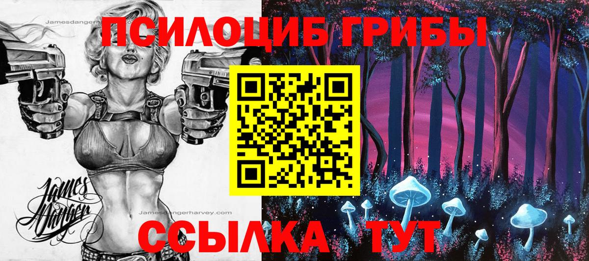 Псилоцибиновые грибы ЛСД Орехово-Зуево